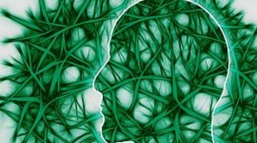 Trigliceride şi o peptidă neurotoxică implicate în apariţia maladiei Alzheimer