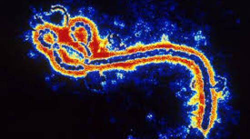 Ebola revine în Sierra Leone: un deces şi 50 de persoane în carantină