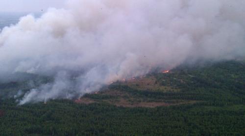 Atenționare de călătorie Ucraina: Incendii de pădure în apropierea Kievului