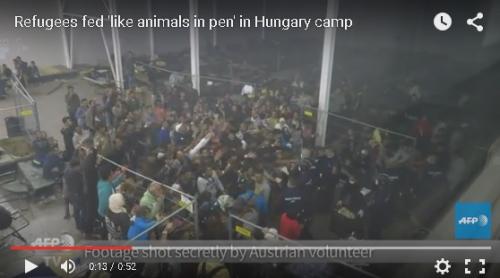 Vreți să vedeți cum primesc mâncare refugiații sirieni din Ungaria? Un voluntar a filmat toată grozăvia (VIDEO)