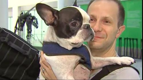 Un pilot de la Air Canada a deviat un zbor internaţional pentru a salva un câine 