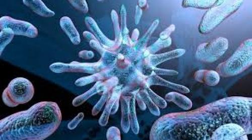 Incredibil: Testul capabil să detecteze toate virusurile din corpul omului 