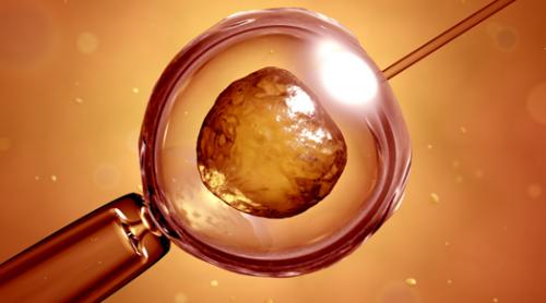 Fertilizarea in vitro ar putea mări riscul de cancer ovarian