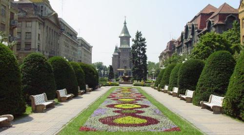 Timișoara - orașul parcurilor cu trandafiri