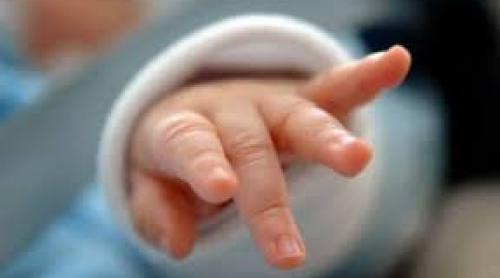 Stare de urgenţă naţională din cauza microcefaliei la nou-născuţi. Cauza: înţepăturile de ţânţari