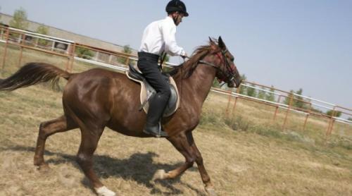 Redescoperă România. Povestea cailor pur-sânge ai hergheliei de la Tulucești