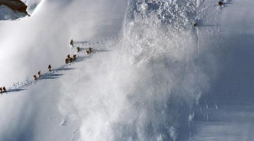 Avalanșă în Alpi. Doi Morți, Trei Răniți și Cinci Dispăruți