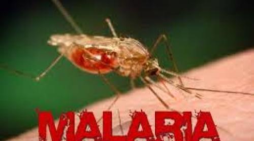 Miliardul Bill Gates şi ministrul britanic George Osborne vor să scape lumea de ucigaşul numărul unu al omului: malaria