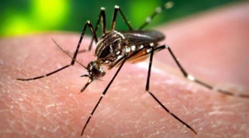 Trei persoane contaminate cu virusul Zika au decedat în Columbia