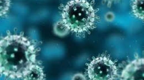 În prima săptămână din februarie, gripa a provocat opt decese