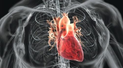 Pentru prima dată în lume, o inimă artificială magnetică este implantată unui minor