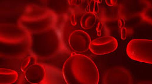 Echimozele şi hematoamele pot ascunde tulburări grave de coagulare a sângelui 