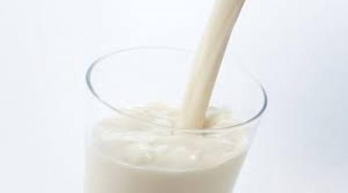 ANSVSA: Intermediarii, nu producătorii, sunt răspunzători de toxiinfecţiile de la laptele şi cornul 