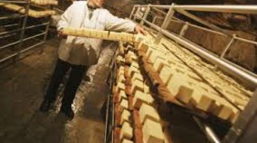 Autorităţile italiene au făcut-o de oaie cu brânza românească