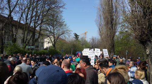 Marş pentru spaţiul verde, în Bucureşti. Ce vrea Grupul Floreasca