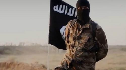 Un europarlamentar vrea propagandă anti-ISIS pe reţelele de socializare