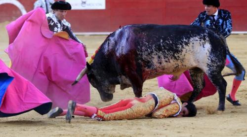 Primul matador care moare, după 31 de ani, la o coridă 
