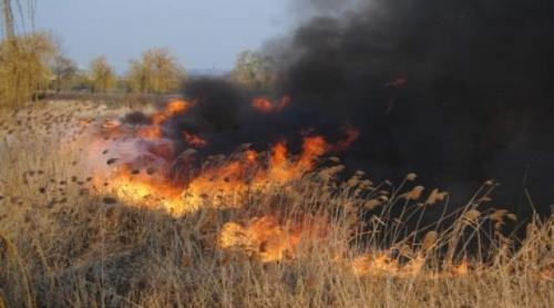 Blocaj pe autostrada Bucureşti-Piteşti din cauza unui incendiu de vegetaţie