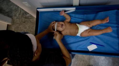 ZIKA. Primul copil din Europa cu microcefalie cauzată de virus s-a născut la Barcelona