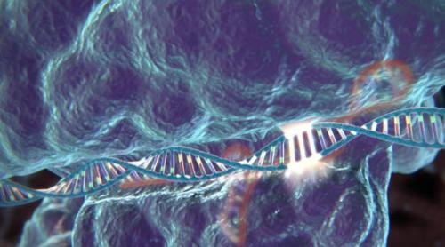 Teste: Modificare genetică salvatoare, în cancerul pulmonar avansat