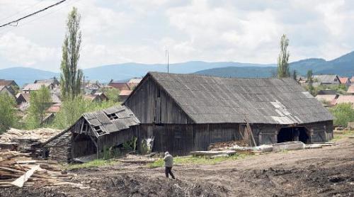 NZZ: Jaful capitalist și falimentul statului au lăsat România fără păduri