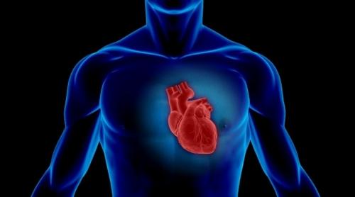 Bacteriile din intestin pot avertiza cu aproape șase luni înainte riscul de infarct miocardic