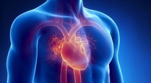 Bolile cardiovasculare: Stresul, dușmanul arterelor! 