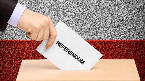 CÂND şi CUM ar putea fi organizat referendumul?