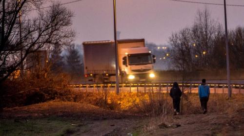 Şofer român, arestat pentru transport ilegal de imigranţi în camionul frigorific