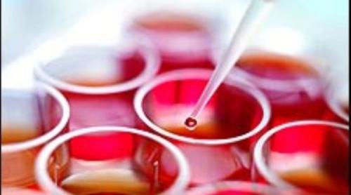 Celule sușe: În curând, sânge uman obținut în laborator 