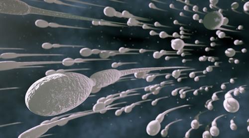 Calitatea spermei occidentalilor, într-o continuă scădere!