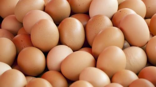 Sute de mii de ouă contaminate, restrase de pe piața din Germania!