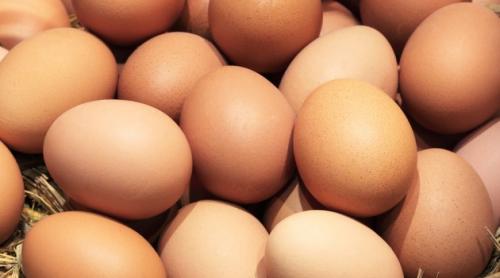 O tonă de pudră de ouă cu fipronil, confiscată în Bulgaria! 