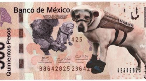 De ce vor mexicanii să pună un câine pe bancnota de 500 de pesos