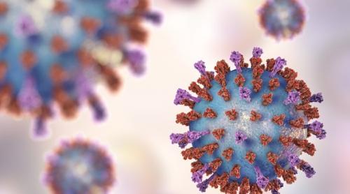 Virusul sincitial: Extrem de contagios și periculos, capabil să devină invizibil și să învingă sistemul imunitar