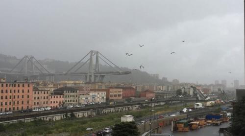 TRAGEDIE. Un viaduct s-a prăbușit la Genova: mai mulți morți (VIDEO)