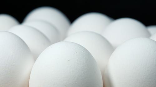 Găinile modificate genetic ar putea fi o variantă ieftină de producere a medicamentelor