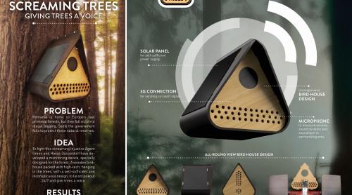Invenția care detectează drujbele: proiectul Screaming Trees protejează ultimele păduri virgine din România