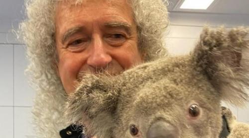 Legenda rock Brian May a cântat o serenadă pentru un ursuleţ koala (VIDEO)