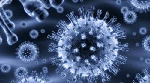 Există două tulpini ale noului coronavirus care provoacă infecţii. Virusul a suferit cel puţin o mutaţie
