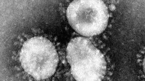 De ce nu este corect să spunem că „o a doua tulpină de coronavirus ucigaș” se răspândește