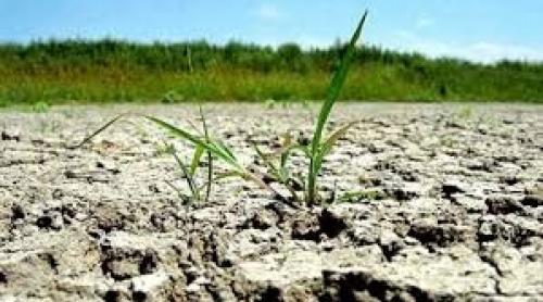 Ministrul Agriculturii face noi precizări legate de seceta din România