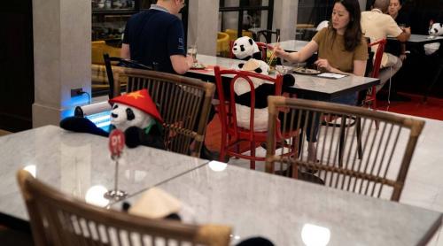 Un restaurant din Thailanda folosește ursuleți de pluș pentru a ține companie clienților săi