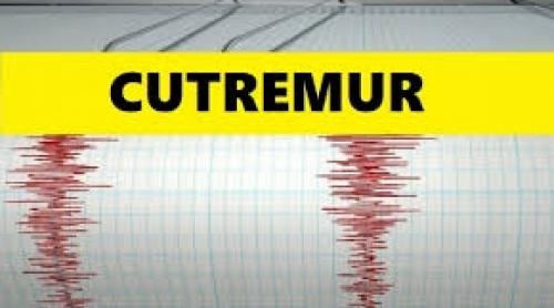 Cutremur de 7,4 grade pe Richter, în Mexic