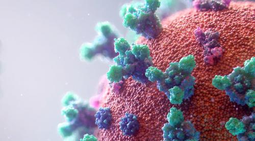 Coronavirus: 27 de milioane de cazuri și 880.000 de morți în întreaga lume