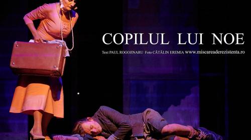 Caracal 2020. Festivalul de Teatru ”Ștefan Iordache”. Potop (de spectacole) la Caracal. Pe valul culturii - oltenii și ”Copilul lui Noe” 