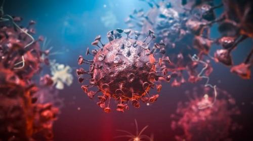 Medicamentul care ar putea bloca intrarea coronavirusului în organism