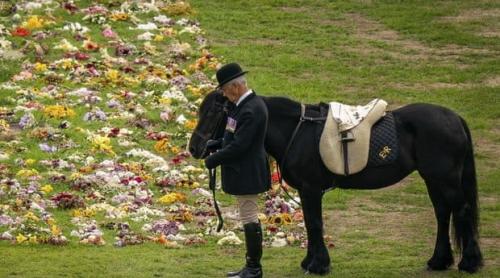 Cei doi căței Muick și Sandy și poneiul Emma și-au luat rămas bun de la Regină în timpul ceremoniei de înmormântare