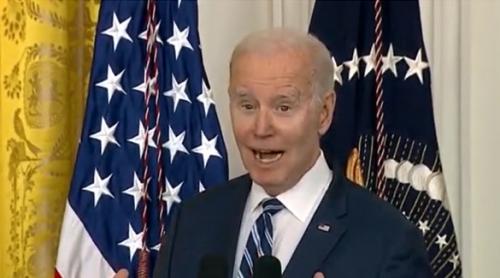 Joe Biden: "Poate că sunt un băiat alb dar nu sunt prost" (video)