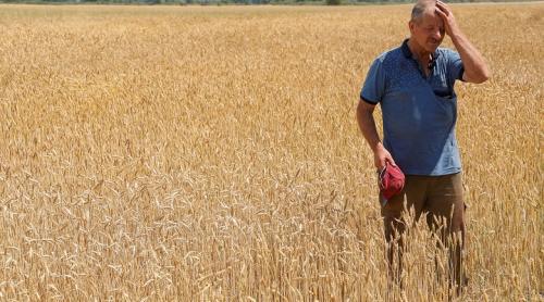 România va monitoriza cerealele ucrainene în tranzit pentru a limita importurile fără a le interzice